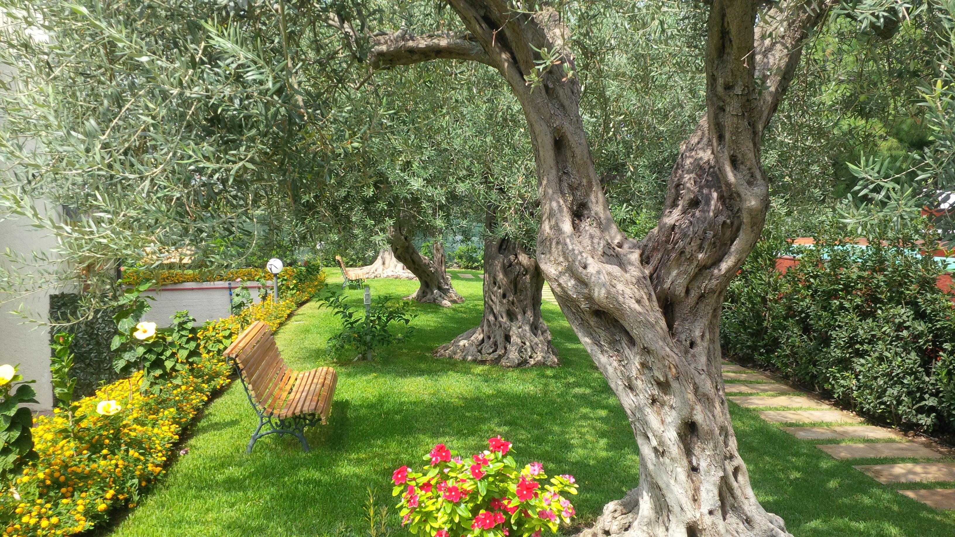 Villa Collina Giardini Naxos Eksteriør bilde